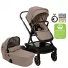 Barva 2025 cedar